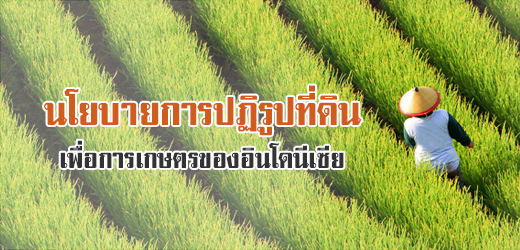 นโยบายการปฏิรูปที่ดินเพื่อการเกษตรของอินโดนีเซีย